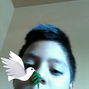 Meet your Posher, José